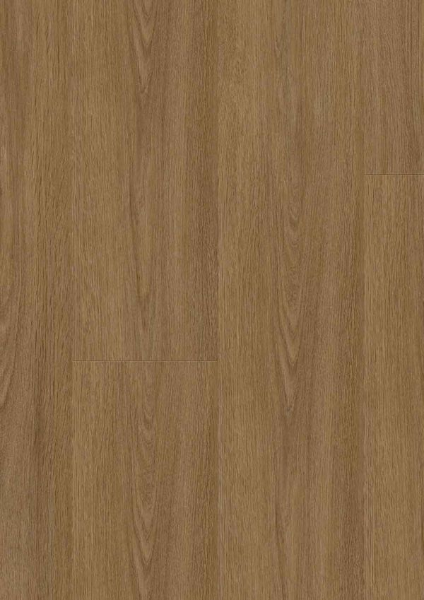 RS40501_Blomma-Brown-Dry-Back-&-Rigid---Frontal-View.jpg