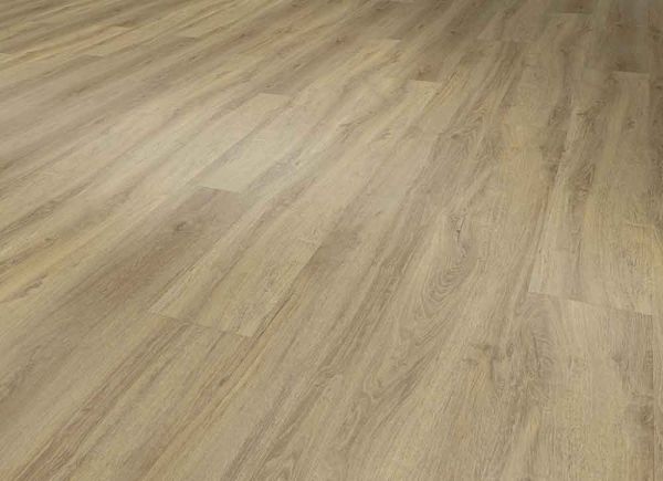 RS40625_Baita-Medium-Dry-Back-&-Rigid---Perspective-View.jpg