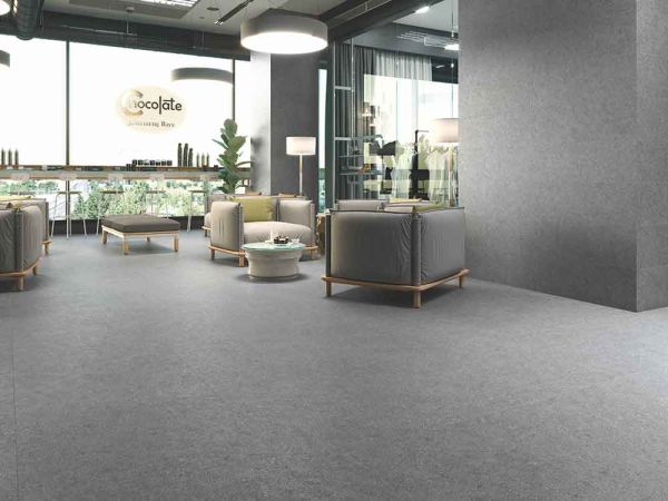 282631Salon_Schelfhout_Carrelage.jpg
