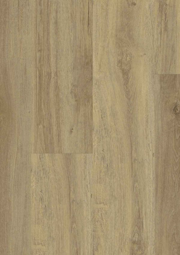 RS40623_Baita-Medium-Dry-Back-&-Rigid---Frontal-View.jpg