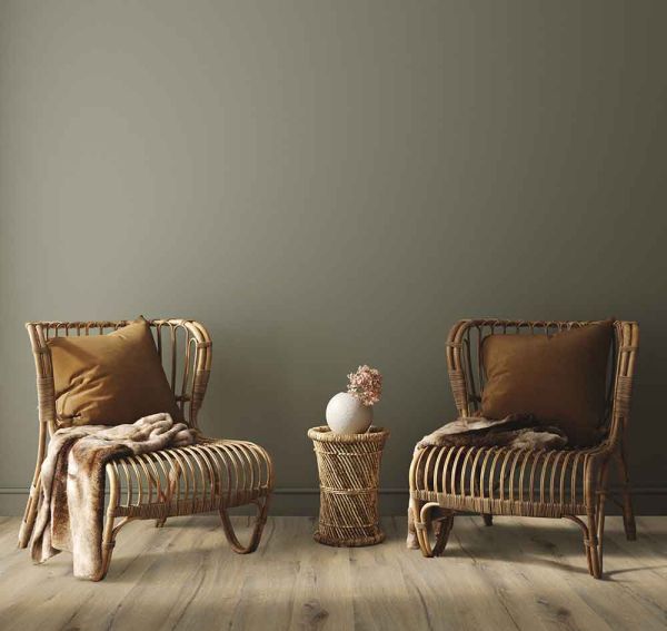RS42209_Daintree-Brown-Dry-back-&-Rigid-Chairs.jpg