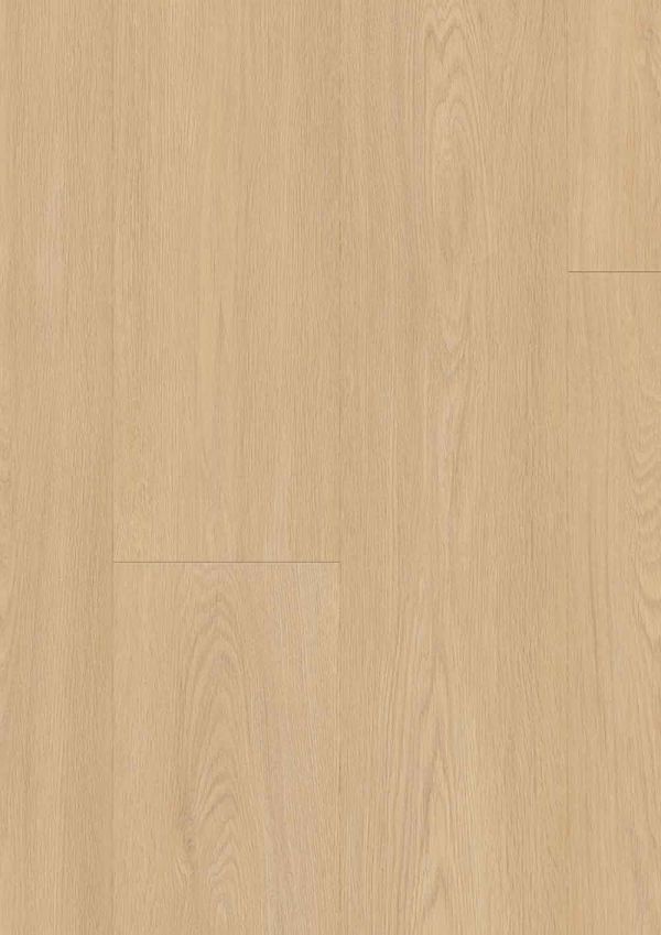 RS40505_Blomma-Clear-Dry-Back-&-Rigid---Frontal-View.jpg
